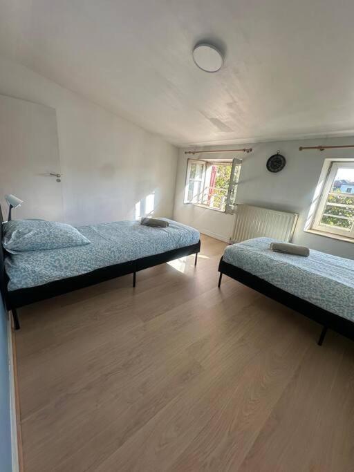 Le Leon Cladel T3 Proche Parking Gratuit Apartment Montauban Bagian luar foto